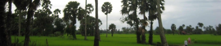 Window on Asia